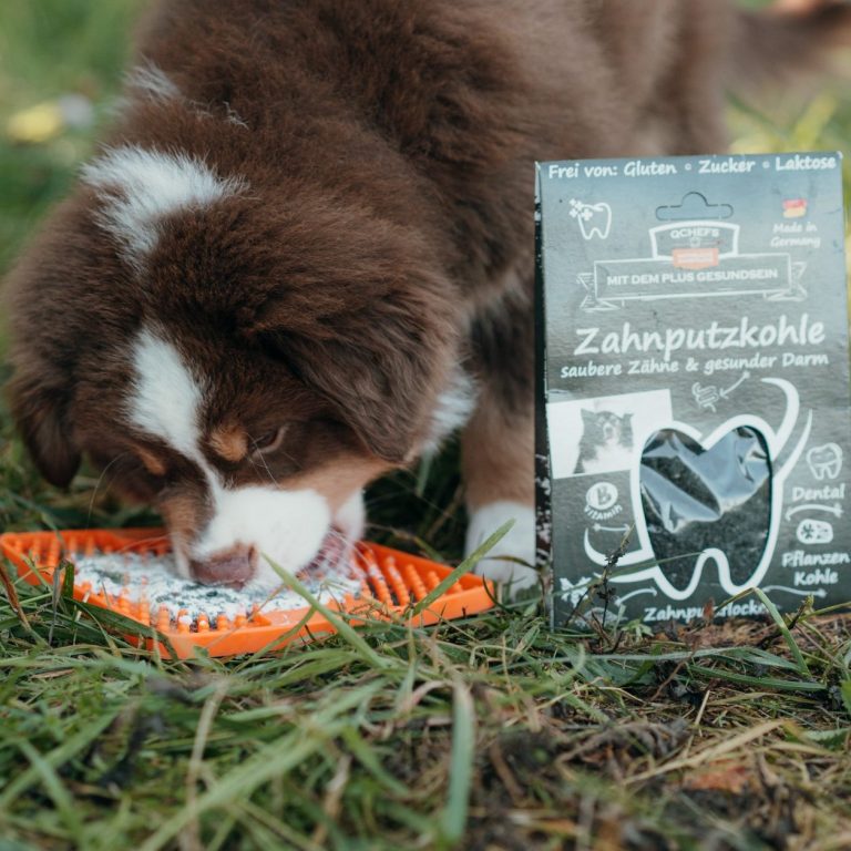 Ein Hund frisst von einer Schleckmatte neben einer Zahnpflegeverpackung von QCHEFS.