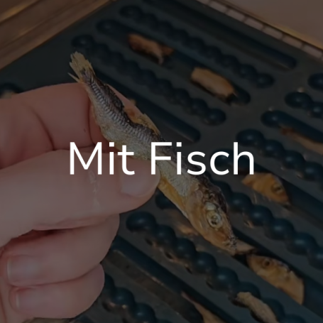 Link zur Seite "Mit Fisch". Auf dem Bild: Eine Hand hält eine Sprotte.