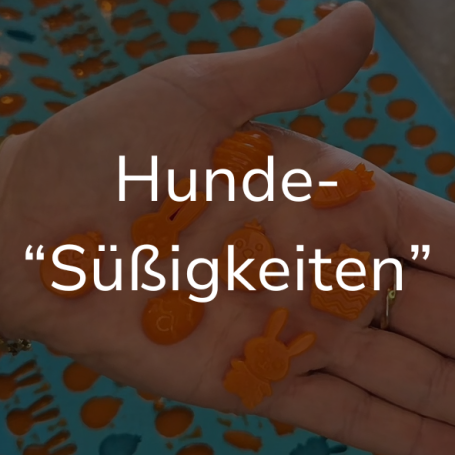 Link zur Seite "Hunde-Süßigkeiten". Auf dem Bild: Orangene Hunde-Jellies.
