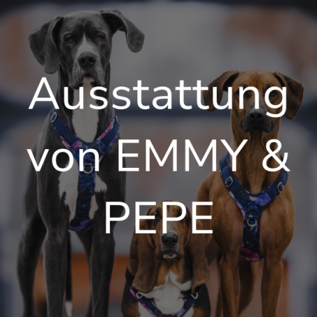 Link zur Seite "Ausstattung von EMMY & PEPE". Auf dem Bild: Mehrere Hunde mit blauen Geschirren.