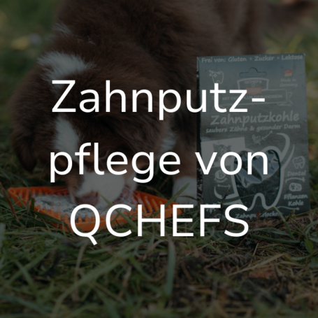 Link zur Seite "Zahnputzpflege von QCHEFS". Auf dem Bild: Ein Welpe leckt an einer Schleckmatte, daneben eine Packung Zahnputzkohle.