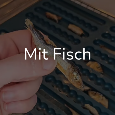 Link zur Seite "Mit Fisch". Auf dem Bild: Eine Hand hält eine Sprotte.