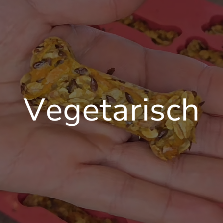 Link zur Seite "Vegetarisch". Auf dem Bild: Ein Leckerchen liegt auf einer Hand.
