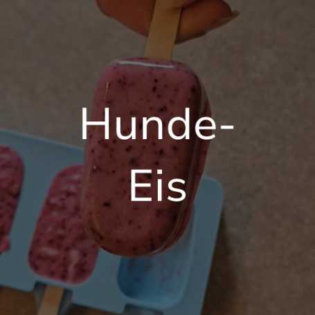 Link zur Seite "Hunde-Eis". Auf dem Bild: Ein Eis am Stil.