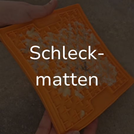 Link zur Seite "Schleckmatten". Auf dem Bild: Eine orangene Schleckmatte wird hochgehalten.