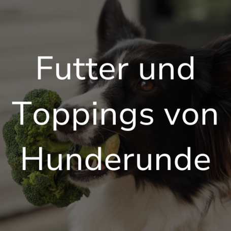 Link zur Seite "Futter und Toppings von Hunderunde". Auf dem Bild: Ein schwarz weißer Hund hat einen Brokkolie im Maul.