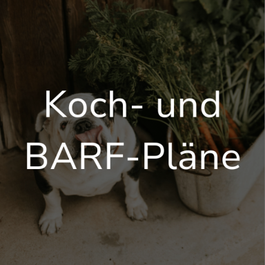 Ein Hund sitzt neben frischem Gemüse und einer Schüssel mit Zutaten. Auf dem Bild steht: Koch- und BARF-Pläne